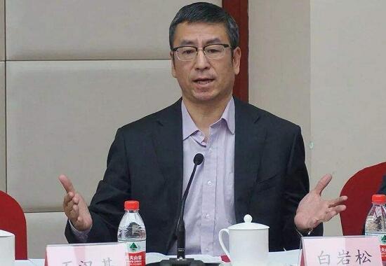 武漢“封城”效果是否明顯？上班后食堂集中用餐如何防護(hù)？白巖松連線